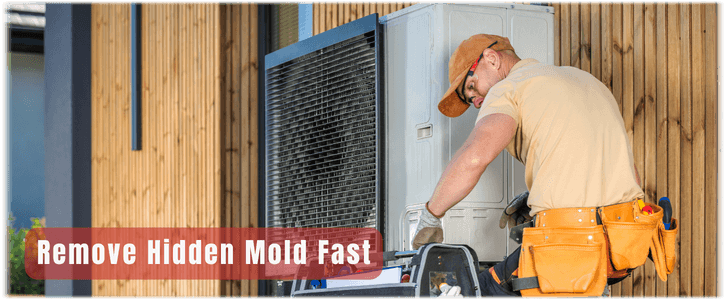 HVAC Mold Removal Houston